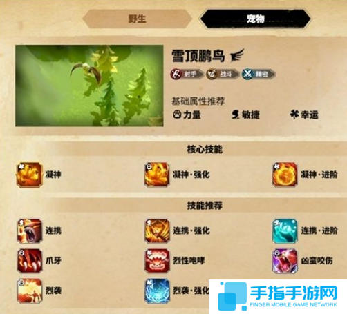 万龙觉醒森尼因多宠物怎么选