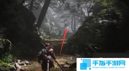 黑神话悟空苍狼林宝箱位置在哪