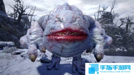 本站