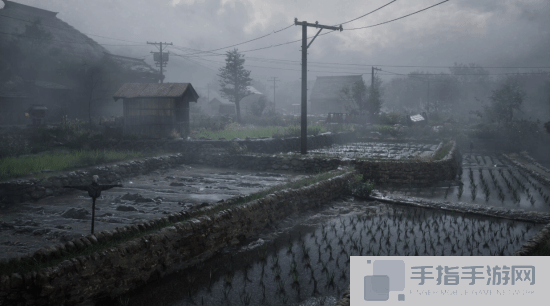 本站