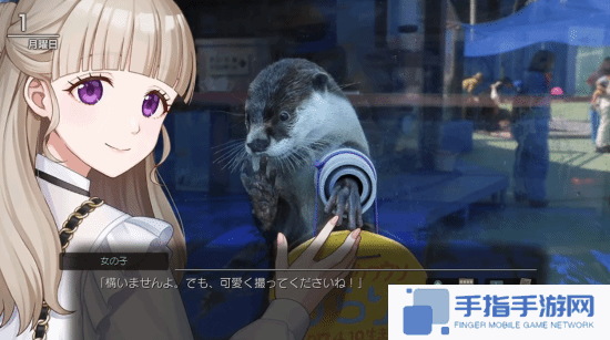 本站