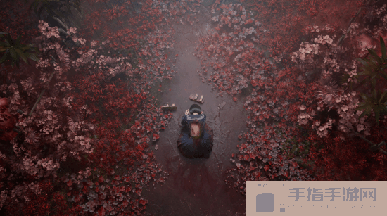 本站
