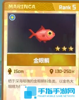潜水员戴夫金眼鲷怎么捕捉