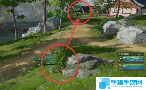 《剑网3》夜哀鸣宠物奇遇怎么完成夜哀鸣宠物奇遇任务攻略4