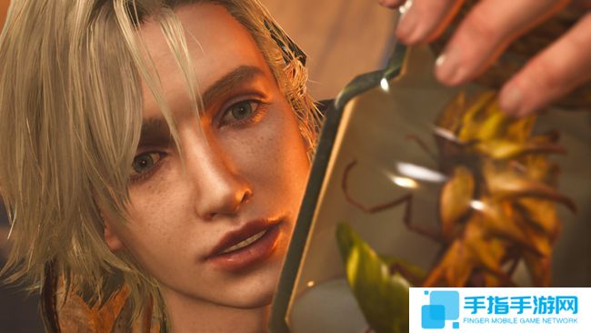 玩家发现修改配置文件的拼写错误能改善《怪物猎人：荒野》PC版性能不佳的问题