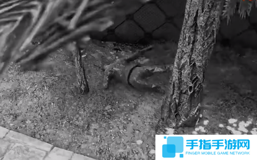让人崩溃!《孤岛惊魂5》惊现无限读取和死亡BUG