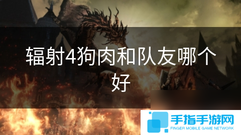 辐射4狗肉和队友哪个好