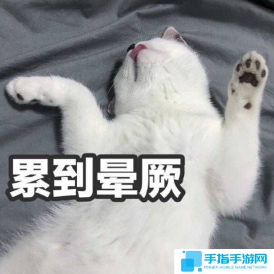本站