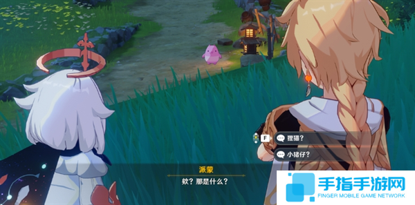 原神梦见月瑞希传说任务完成攻略图三 原神梦见月瑞希传说任务完成攻略图三