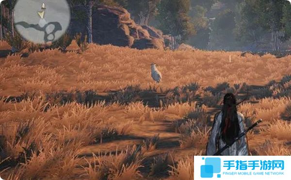 详细阅读:《燕云十六声》脂尾羊刷取方法分享 《燕云十六声》脂尾羊刷取方法分享