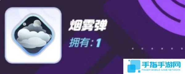 《宝可梦大集结》对战道具有哪些对战道具介绍6