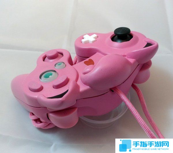 玩家自制宝可梦胖丁手柄 造型魔性诡异