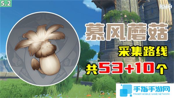 《原神》慕风蘑菇采集位置汇总63个慕风蘑菇采集路线图1