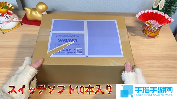 不算大冤种 日本玩家展示斥资5万二手Switch游戏福袋