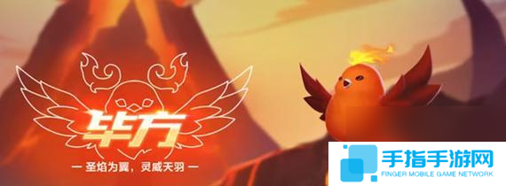 飞龙时代套装获取途径是什么？