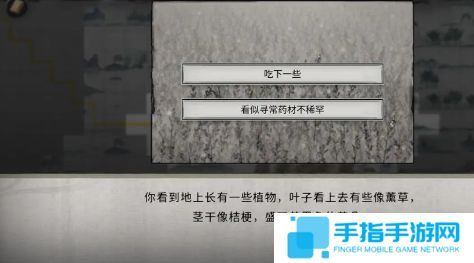 《鬼谷八荒》随机奇遇有哪些随机奇遇汇总5