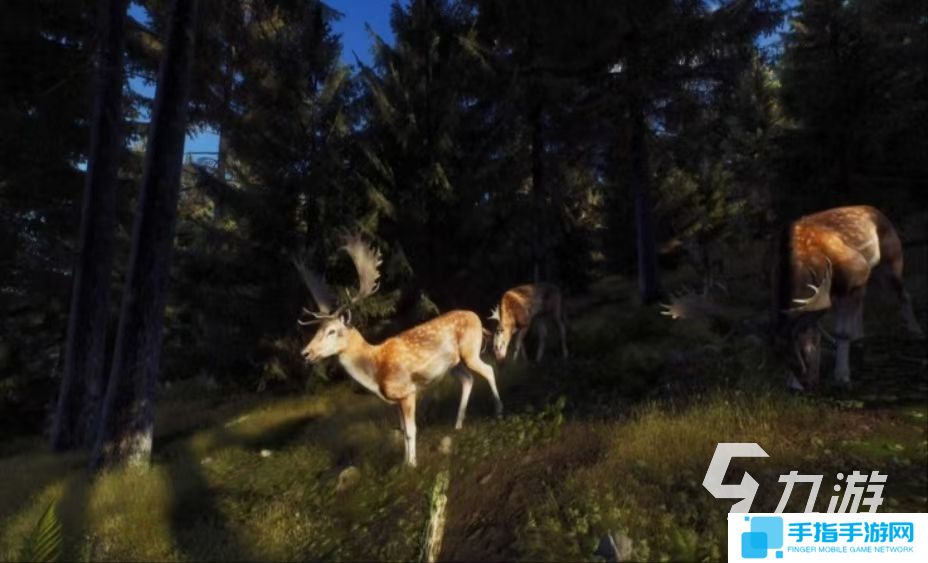 猎人之路下载最新链接在哪 猎人之路中文版下载地址分享