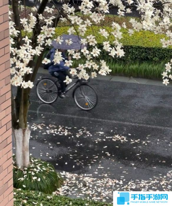 《英雄联盟》不矫情的网名大全8