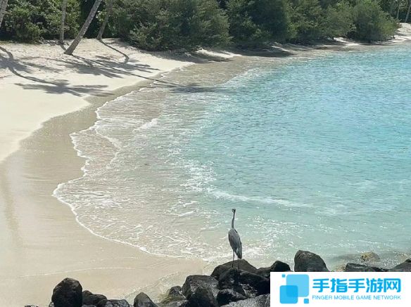 《英雄联盟》不急不躁的网名大全2