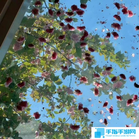 《英雄联盟》不矫情的网名大全5