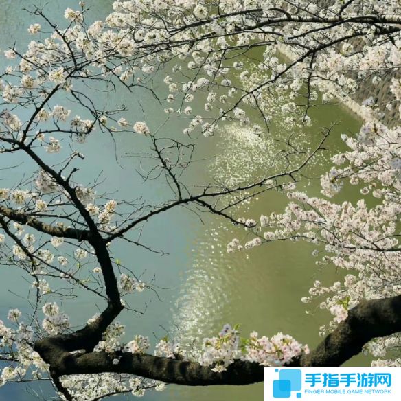 《英雄联盟》不矫情的网名大全9