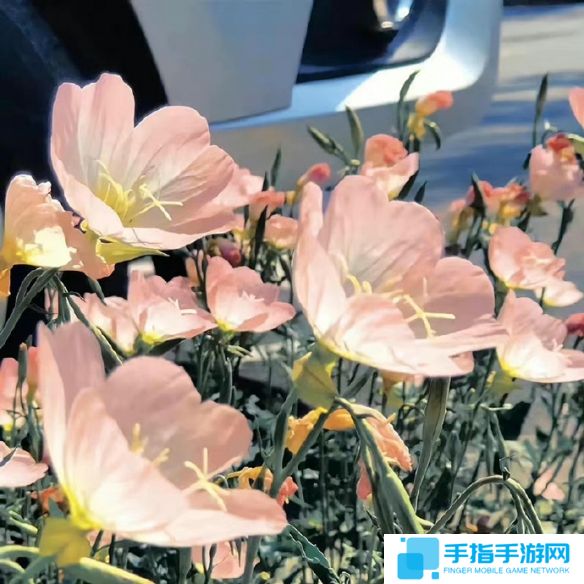 《英雄联盟》不矫情的网名大全7