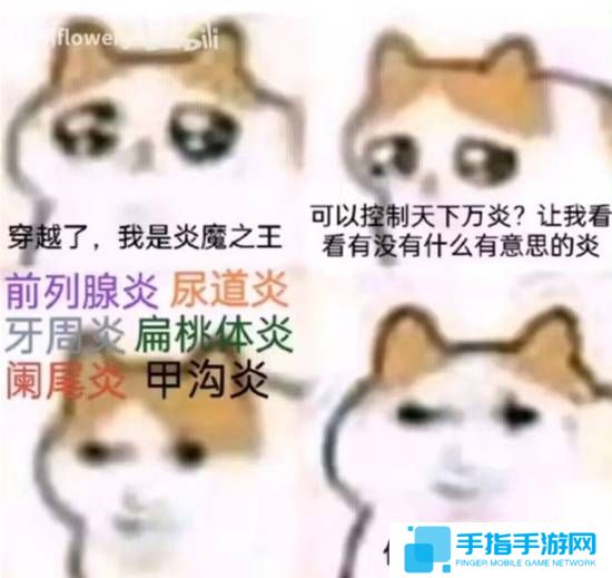 本站