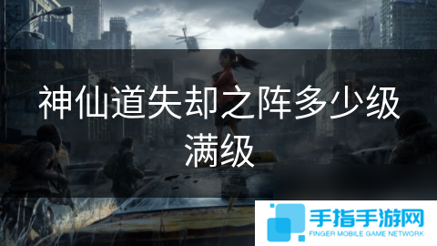 神仙道失却之阵多少级满级