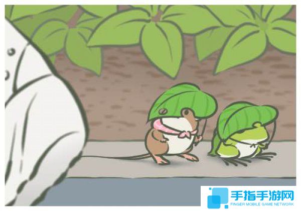 《旅行青蛙》中的佛系哲理 呱儿子给的明信片看懂了吗?