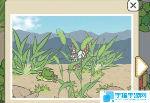 《旅行青蛙》中的佛系哲理 呱儿子给的明信片看懂了吗?