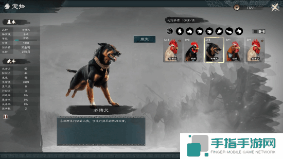 本站