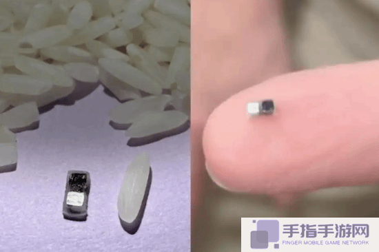 世界最小心脏起搏器问世：比米粒还小 中国博士后提出自供电方法