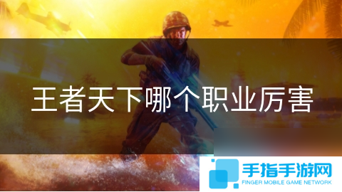 王者天下哪个职业厉害