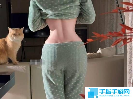本站
