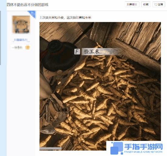 本站