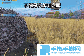 一名合格的老六，身上长稻草只是基本功罢了
