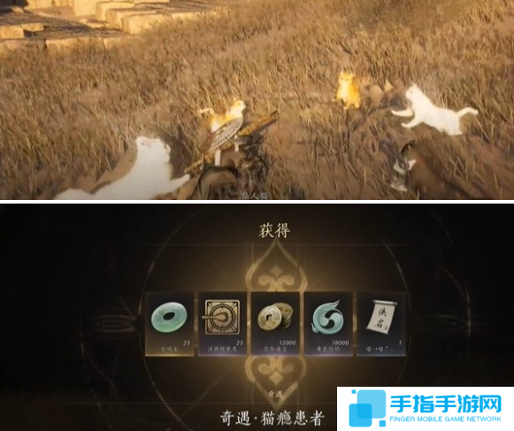 燕云十六声猫瘾患者奇遇怎么做