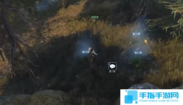 逆水寒手游猪猪迷踪奇遇怎么过
