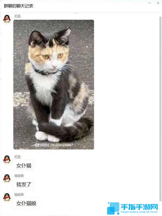 本站