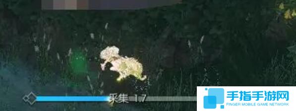逆水寒手游幽谷寻茵怎么过