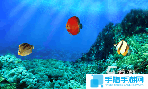 钓鱼游戏真实版下载介绍2025 优质的钓鱼真实版游戏合集
