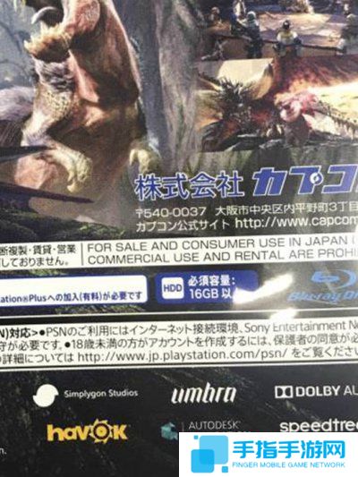 意料之外？《怪物猎人世界》PS4版容量曝光