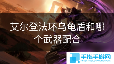 艾尔登法环乌龟盾和哪个武器配合