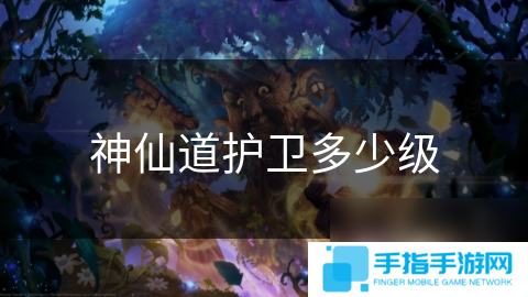 神仙道护卫多少级