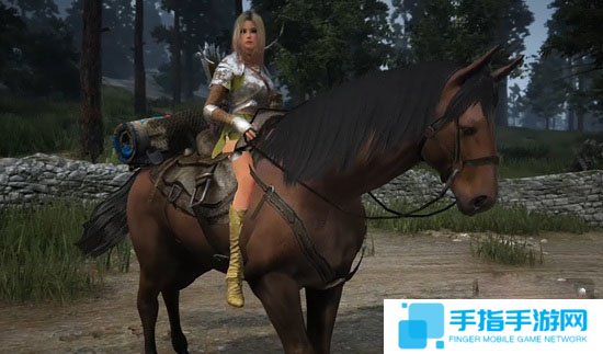 《黑色沙漠》欧美服更新周年活动 新增可驯化马匹